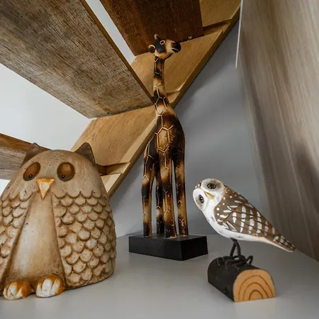 Aux 2 Chouettes Апартаменты Saint-Didier-sur-Chalaronne